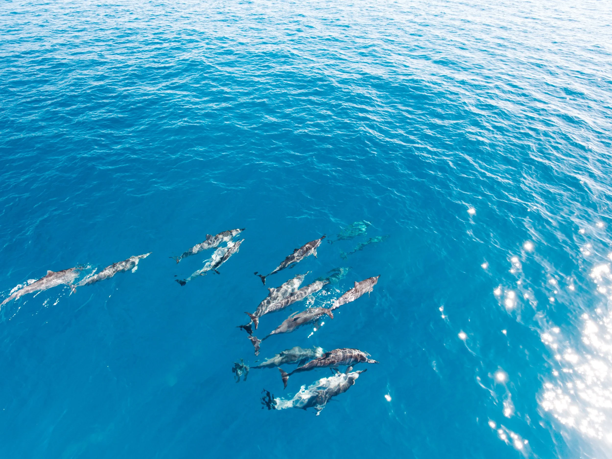 Soft ocean horizon beneath an open sky